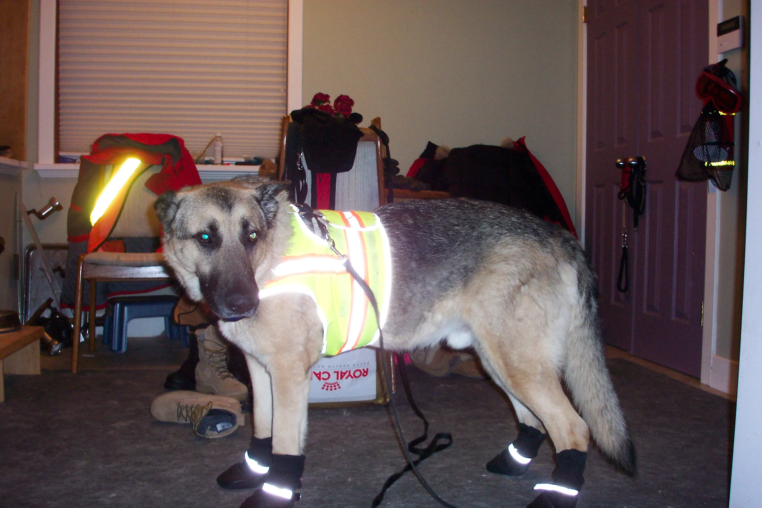 Carson - 22 December 2009.webp