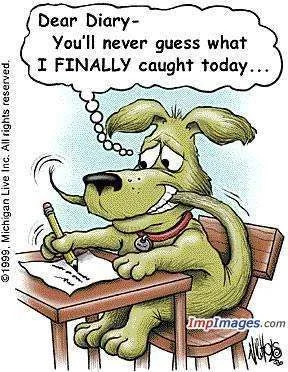 Cartoon Jokes (64).webp