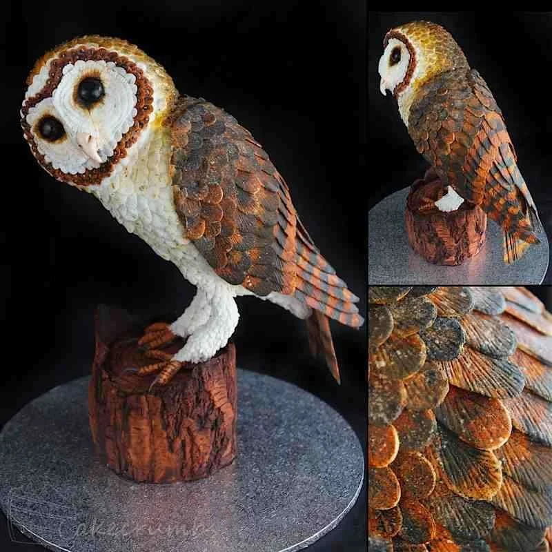 cassiekuk.l.ss.tasmanianmaskedowl.webp