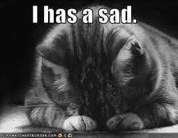 cat is sad.webp