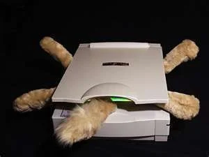 CAT Scan.webp