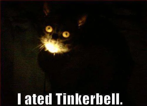 CatAtedTinkerbell.webp