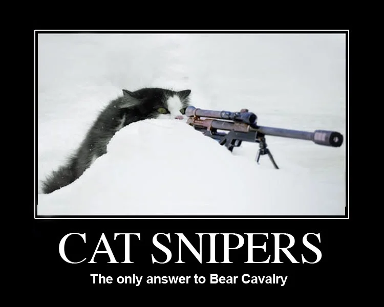 catsniper.webp