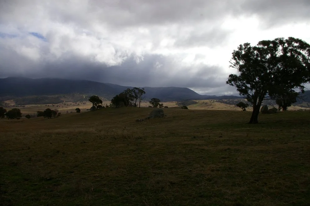 Cattle country.webp