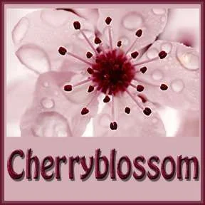 CB1.webp