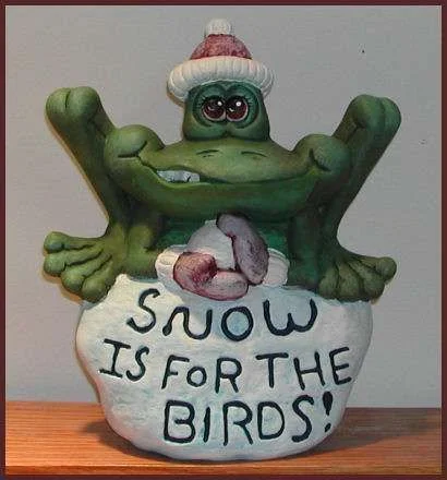 cfrogsnowbirds.webp
