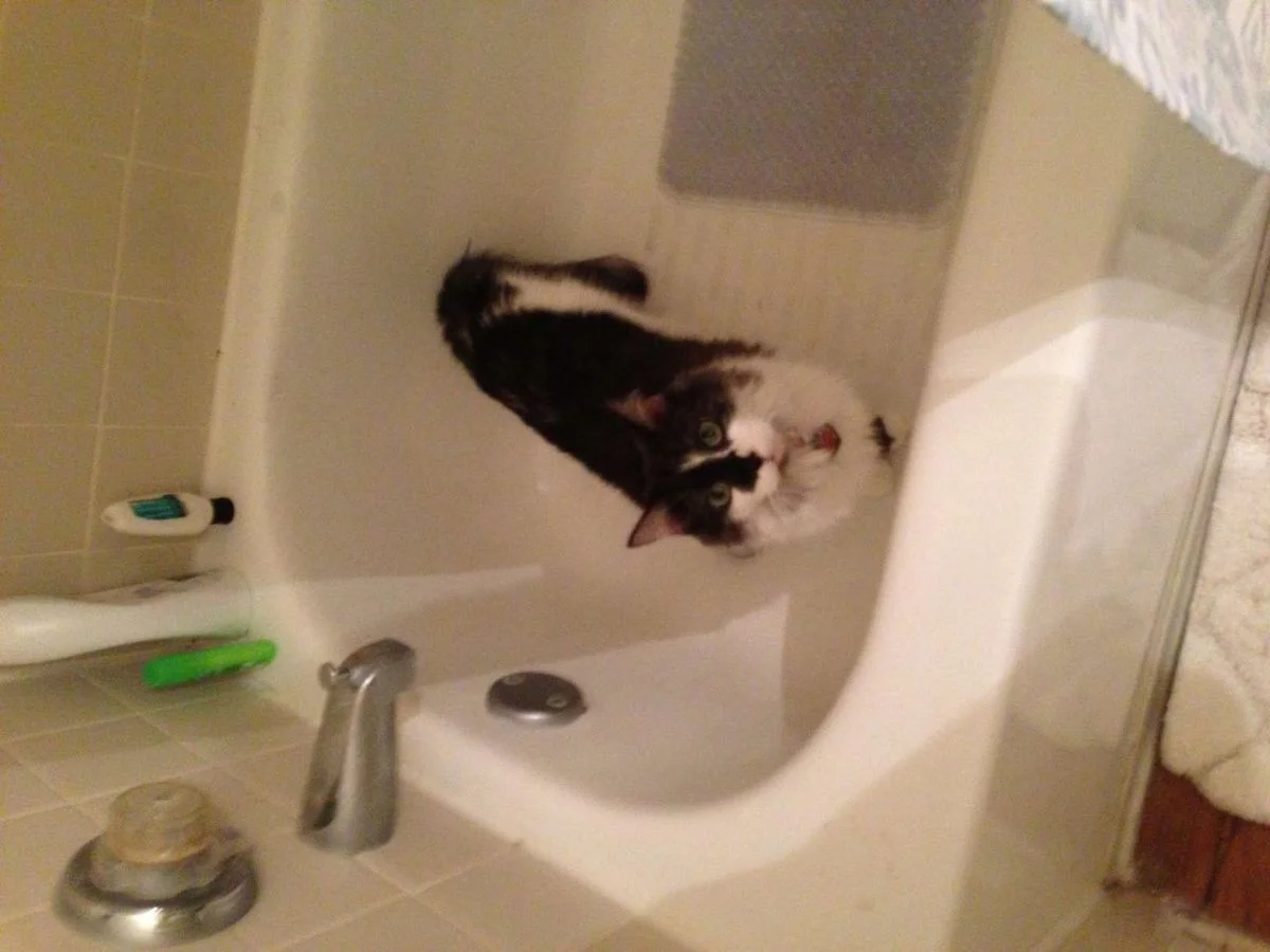 ChamkeeBathtub.webp