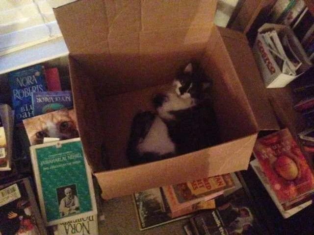 ChamkeeBiggestBox.webp