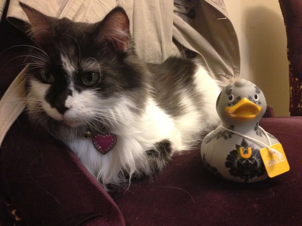 ChamkeeWithDuck.webp