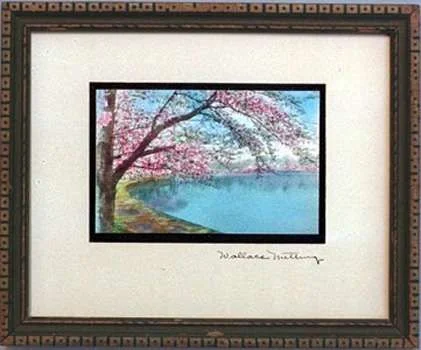 Cherry Blossoms Nutting.webp