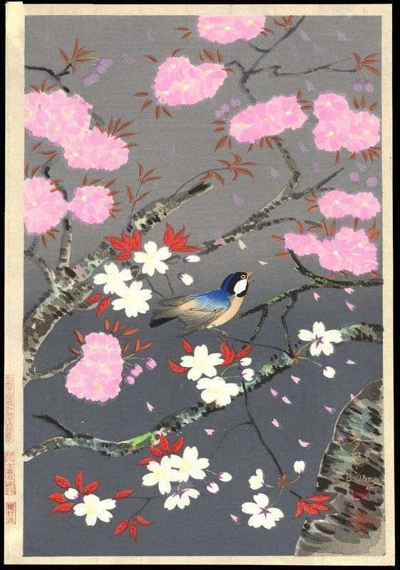 cherry_blossom_2.webp