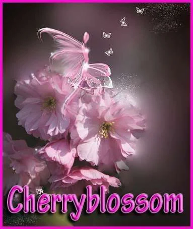 cherryblossom fairy copy.webp