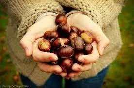 chestnuts.webp