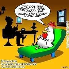 chicken urge to cross the road.webp