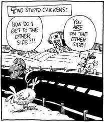 chickens (1).webp