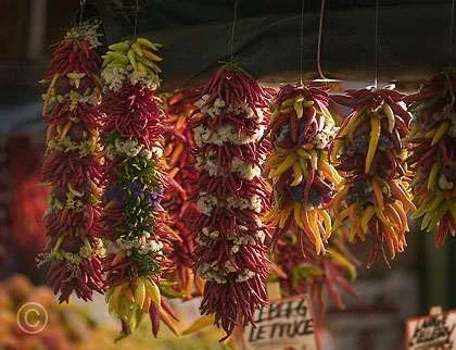 chillis.webp