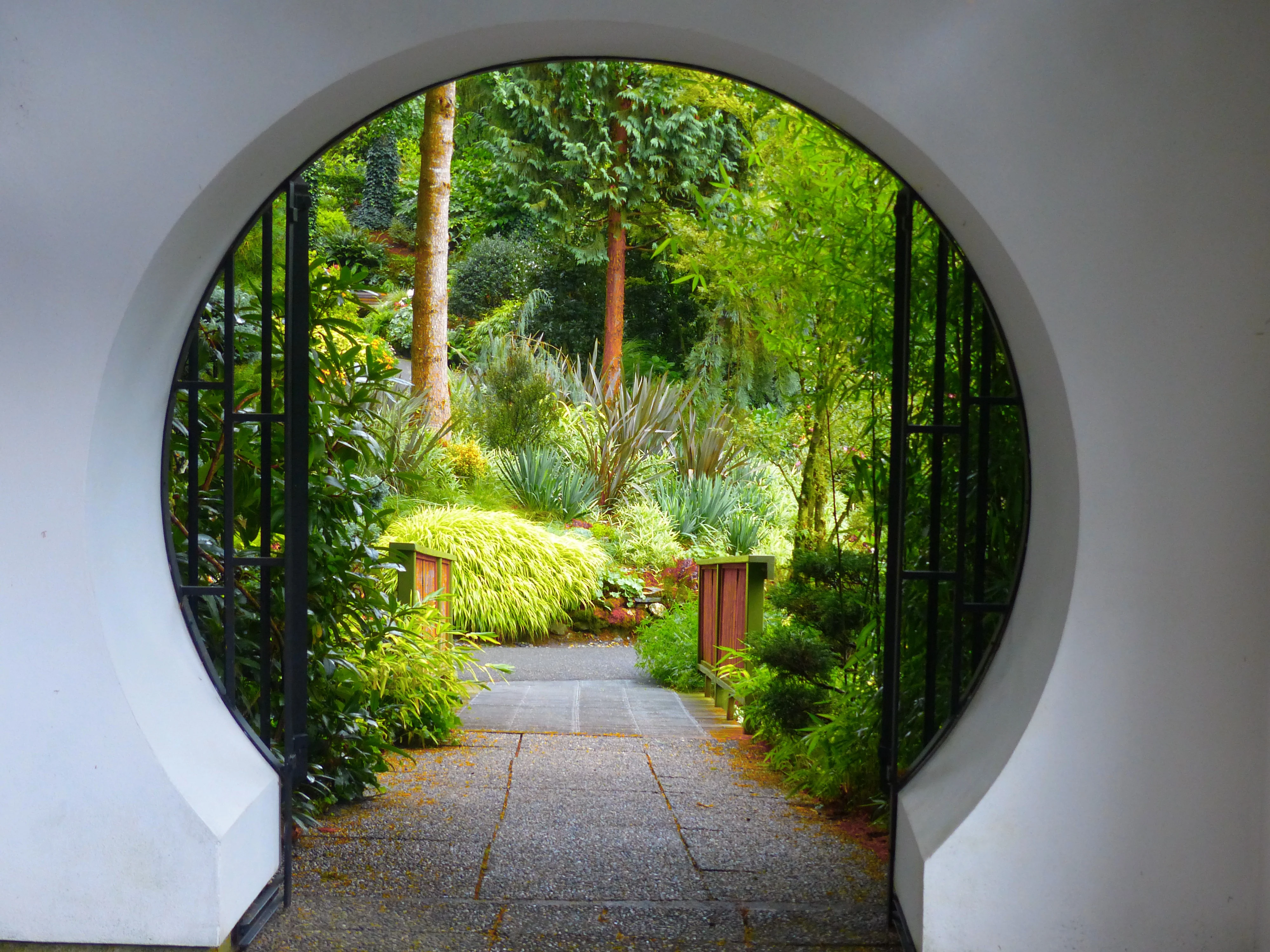 chinese garden (4).webp
