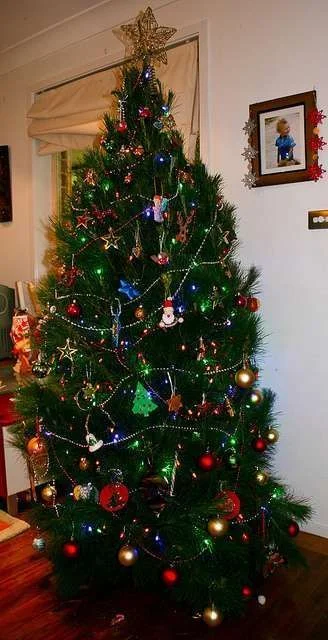 Christmas tree 2012.webp