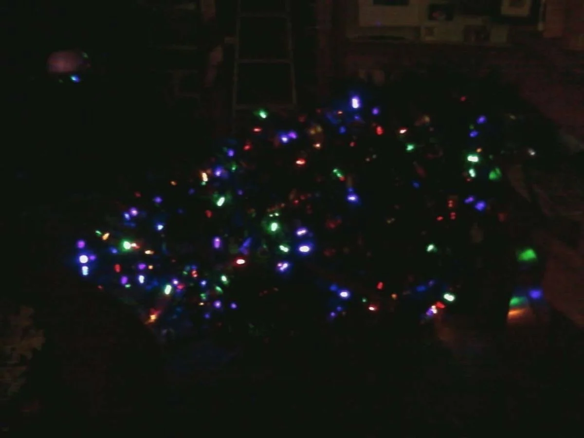 christmas tree over.webp