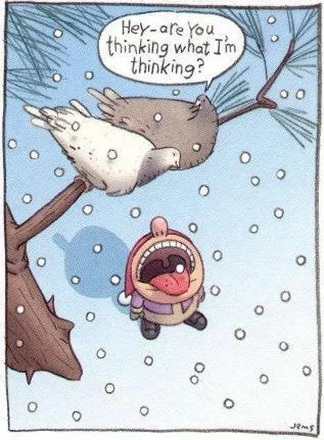 christmas_jokes.webp