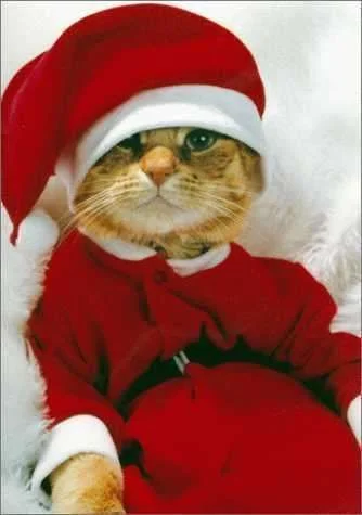 christmas_myspace_funny_10-1.webp