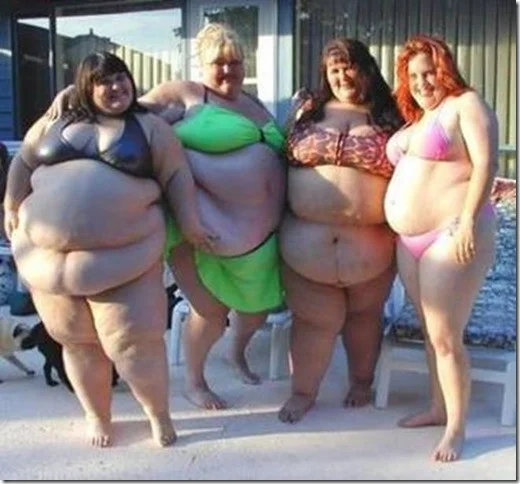 Chubby.webp