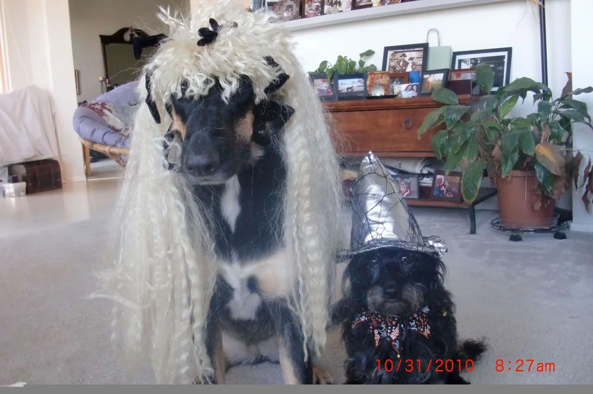 CIMG1764.webp