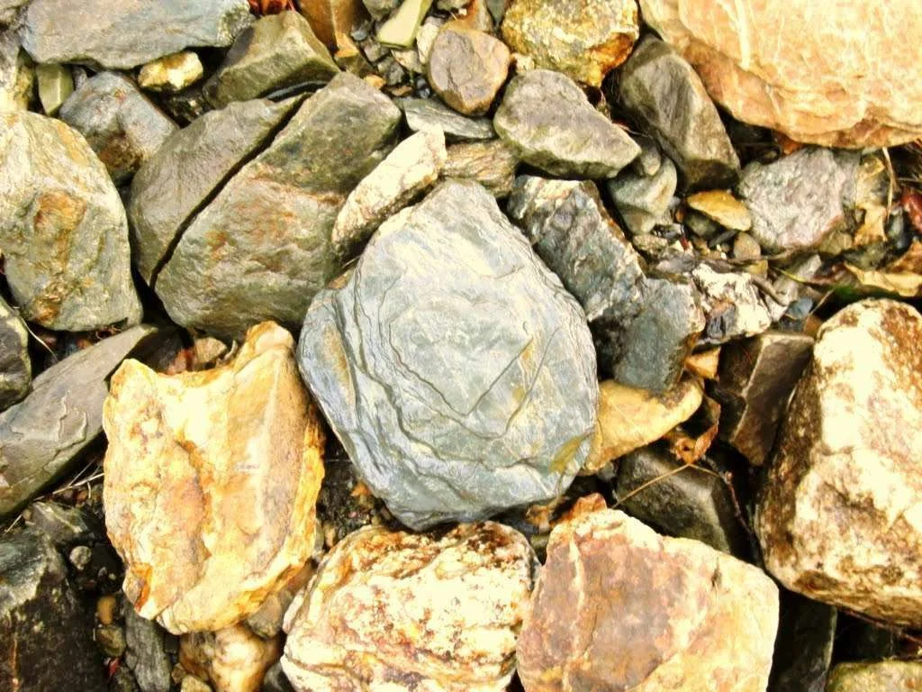 CIMG2576.webp