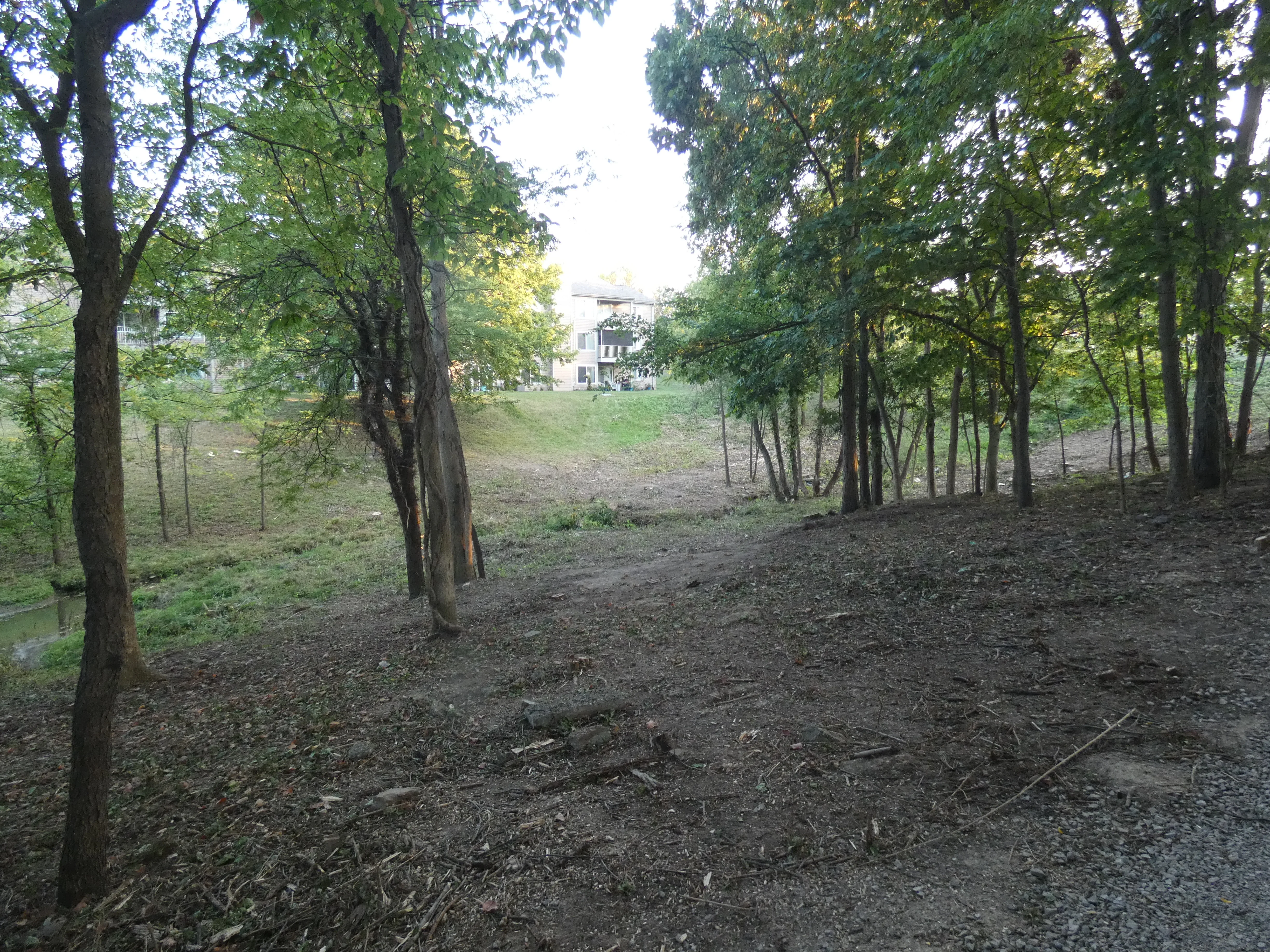 Cleared area lake nearest Wetheringing_5.webp