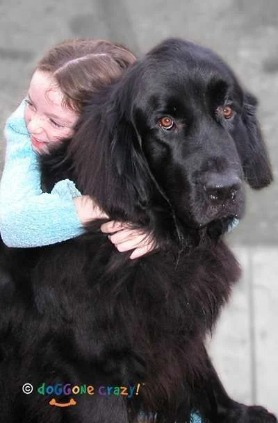 clipper hug 3x4.webp