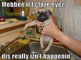 Close my eyes.webp