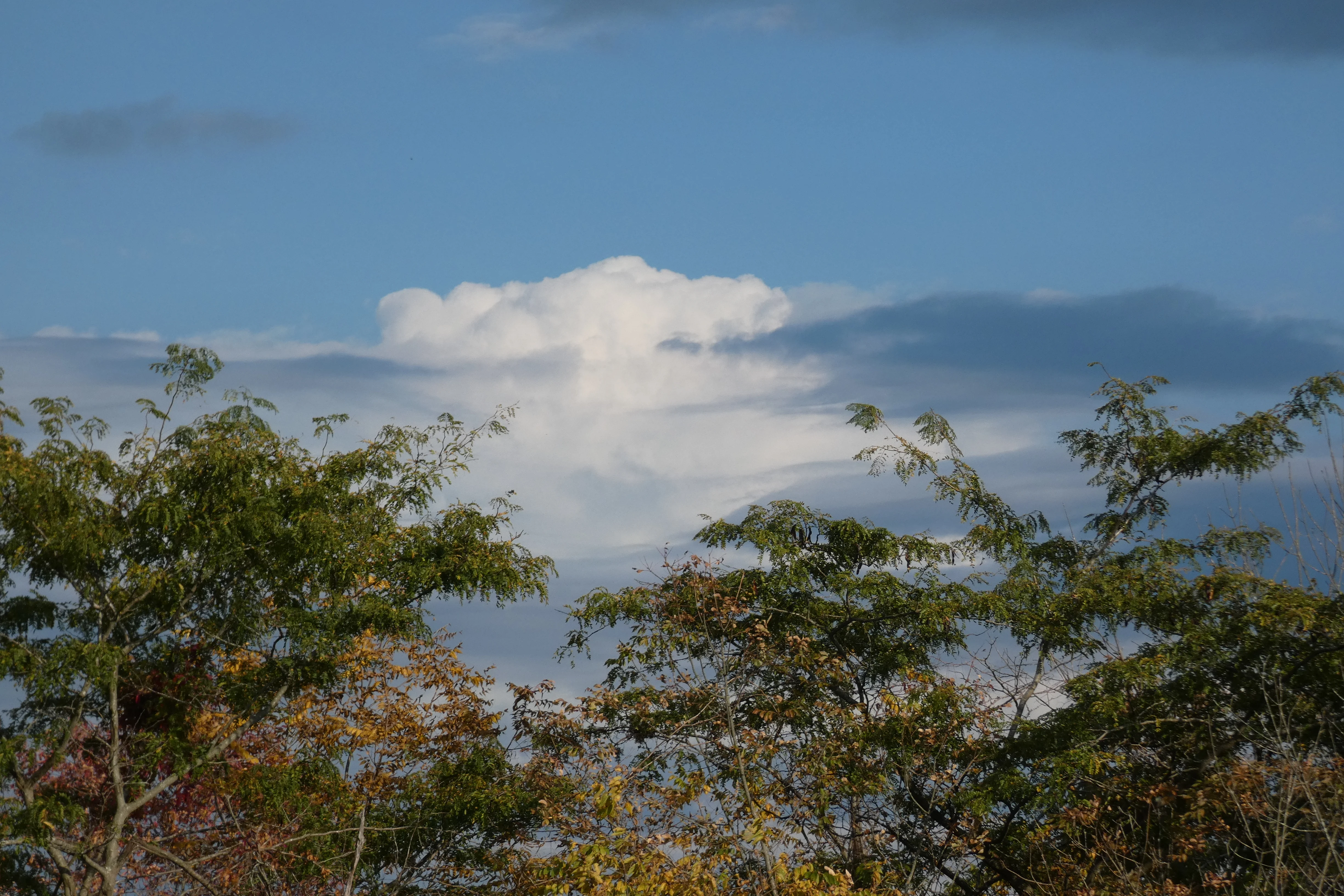 clouds like mountains.webp