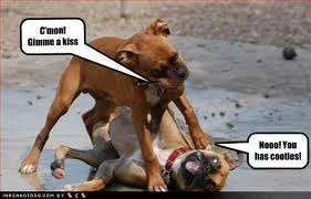 Cmon gimme a kiss.webp