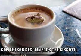 coffee frog.webp