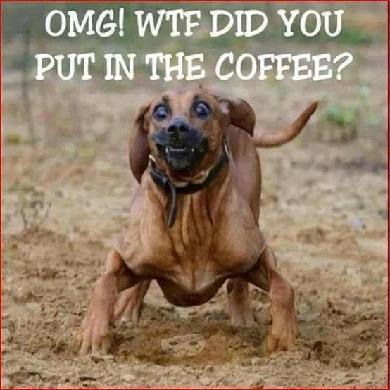 coffee.webp