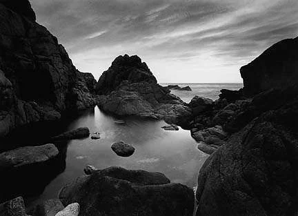 colepoolstudy57.webp