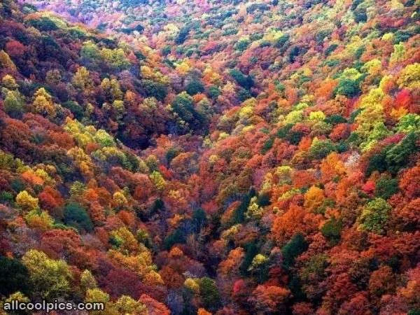 Colors_Changing.webp