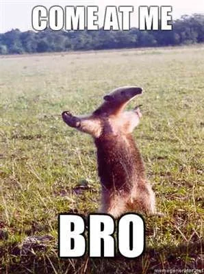 come-at-me-bro.webp