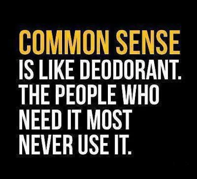 Common Sense.webp