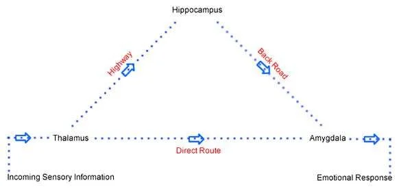 Conceptualising.webp