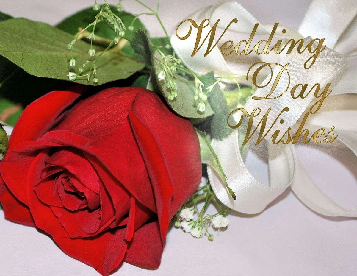 congrats.webp