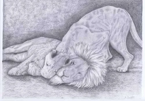 Contentment(white lions)watermarked.webp