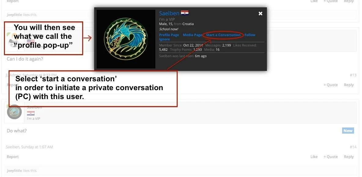 conversation profile popup .webp