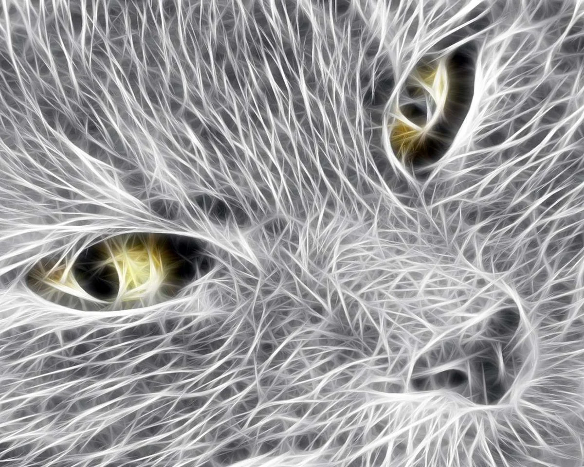 cool-3d-cat.webp