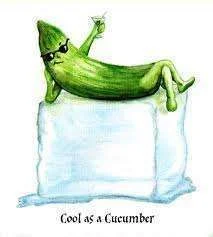 cool as a cucumber.webp