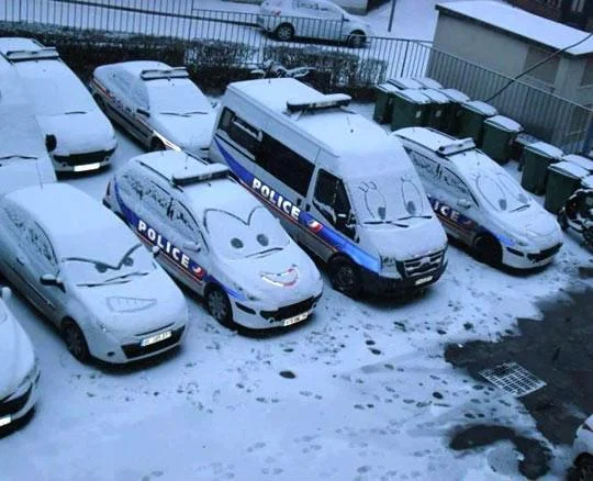 cop cars.webp