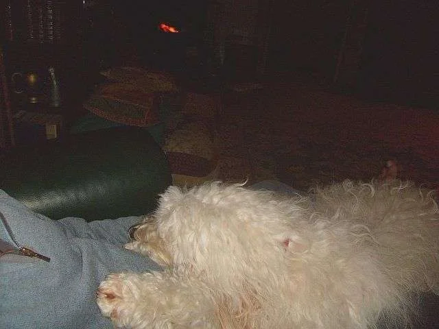 cosy.webp