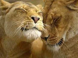 Couple.webp