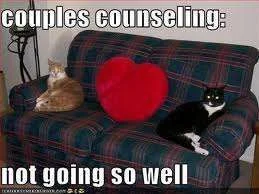 Couples councelling.webp
