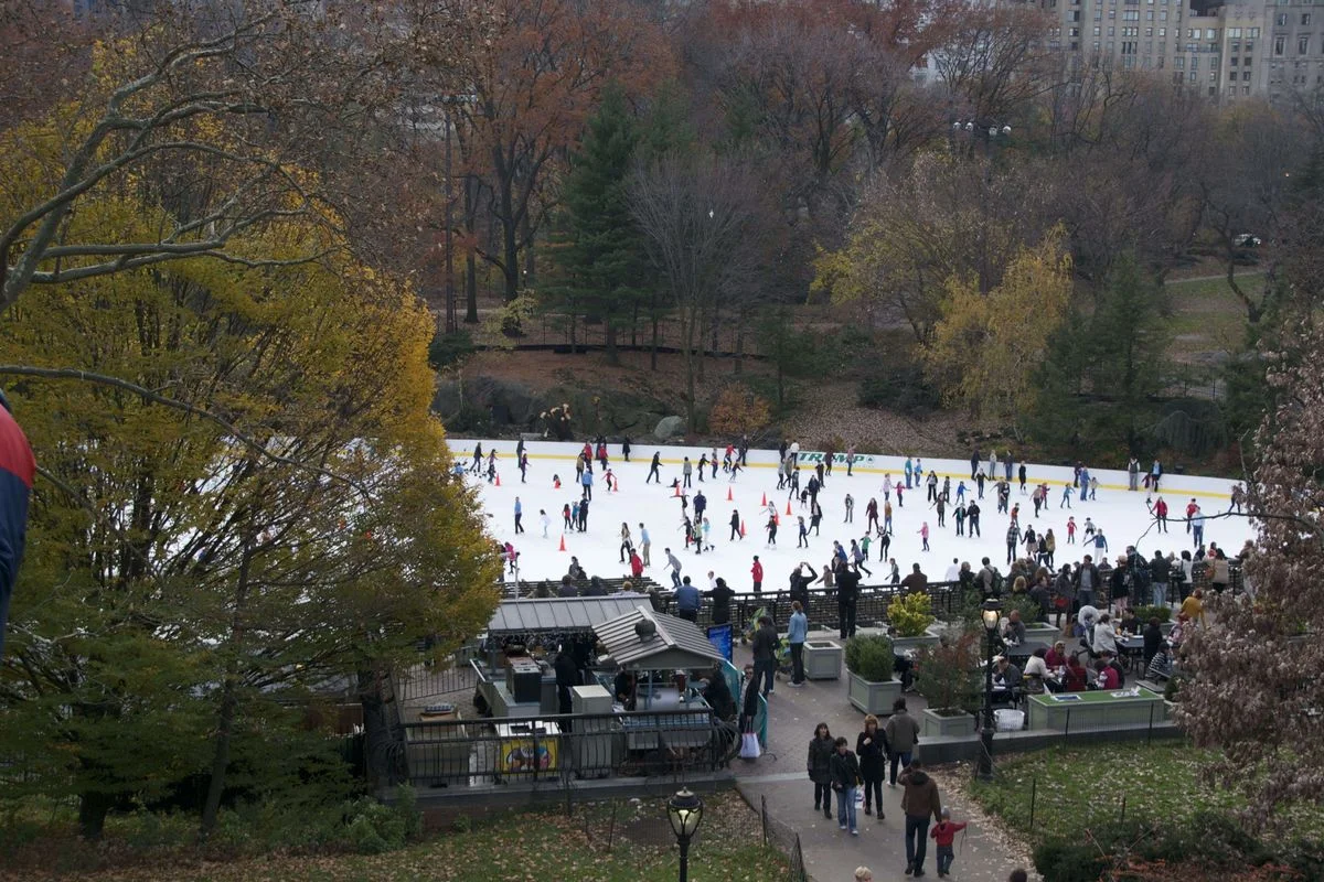 CP Skate.webp
